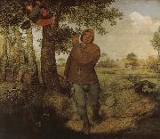 Pieter Bruegel, From farmers and Selenocosmia